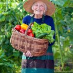 Hospice Care in Bethlehem PA: Tips for Trying New Things During National Fruit and Veggies Month