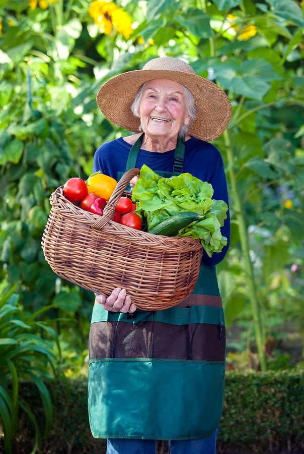 Hospice Care in Bethlehem PA: Tips for Trying New Things During National Fruit and Veggies Month