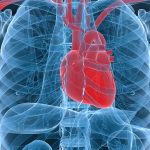 Hospice Elder Care in Philadelphia PA: Hospice Care and Heart Disease