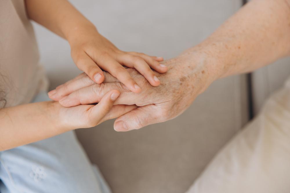 Services and Support Offered